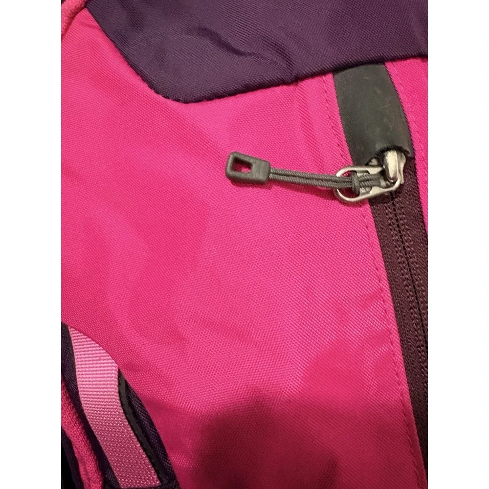 Patagonia Refugio 28L Pink Purple‎ Backpack Day Pack Outdoor
